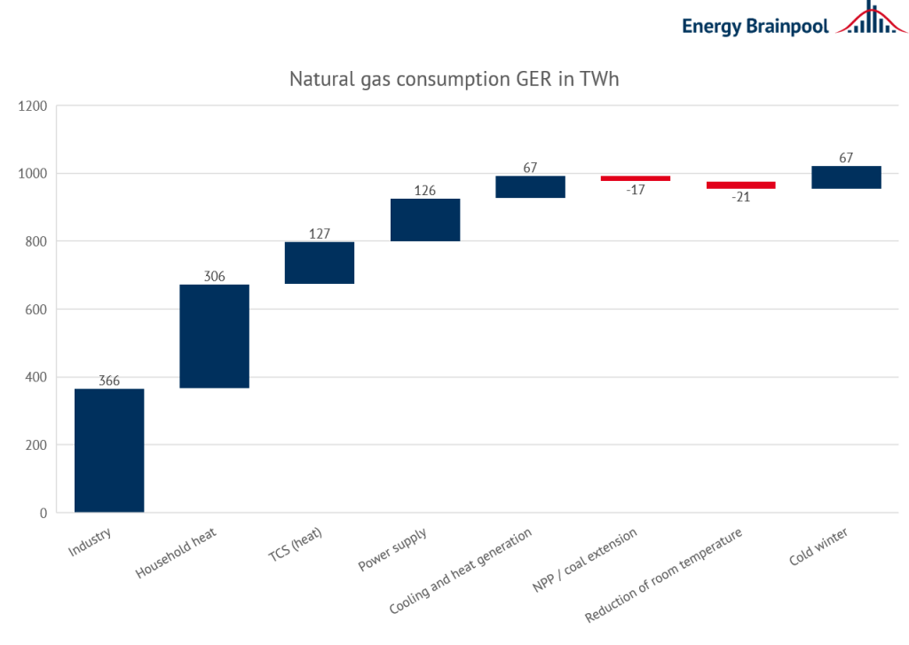 Figure 4: Natural gas consumption in Germany in 2021 and reduction options (source: Energy Brainpool, 2022)